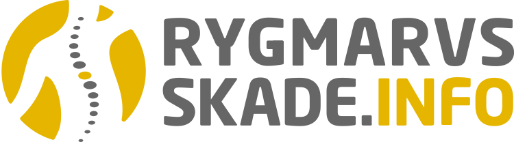 Rygmarvsskade